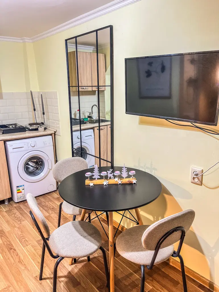 1 room apartment for rent in mtatsminda