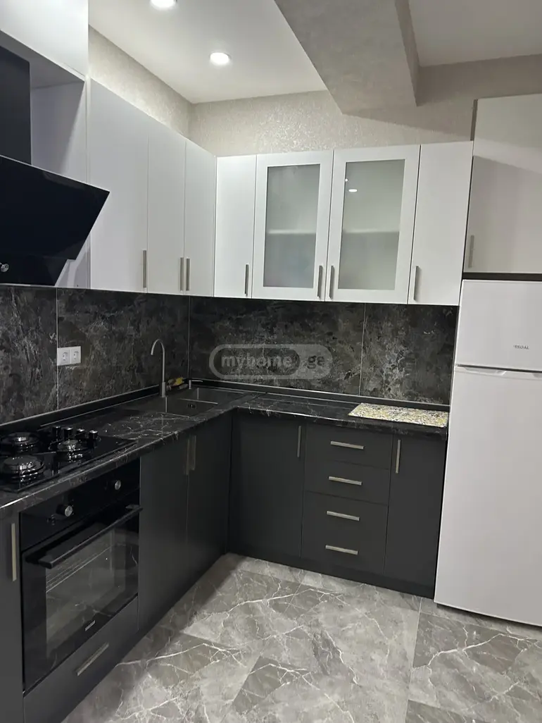 2 room apartment for rent in didi digomi