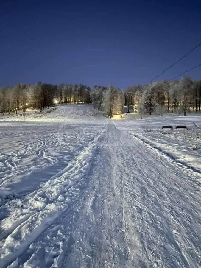 statment-img-0.34721018116658264