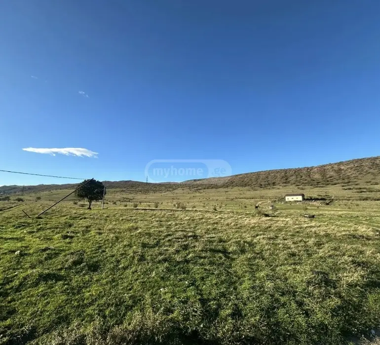 statment-img-0.012699975542074249