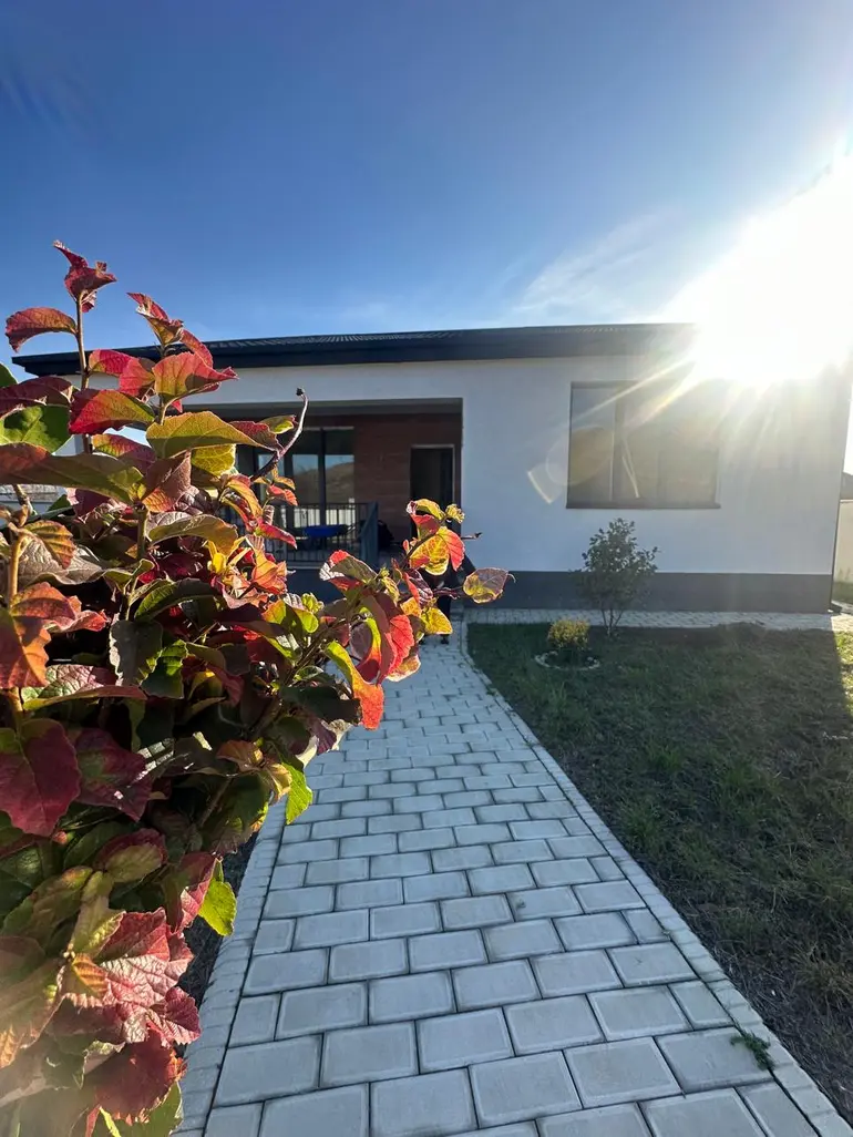 statment-img-0.6699874574153886