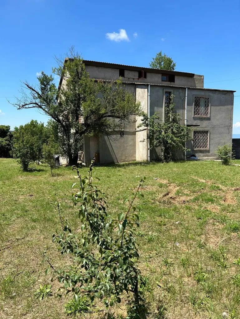 statment-img-0.3177871786498492