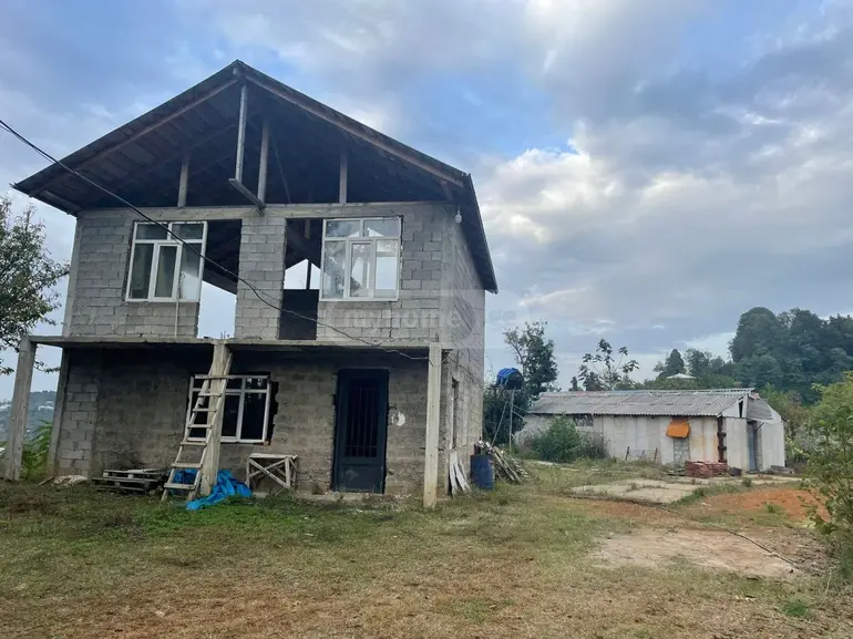 statment-img-0.03393166188723851