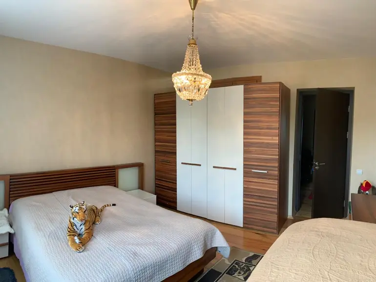 statment-img-0.14081420870390993