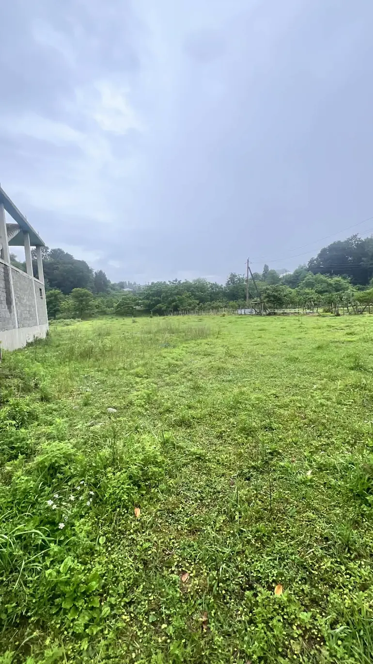 statment-img-0.3022913240967313