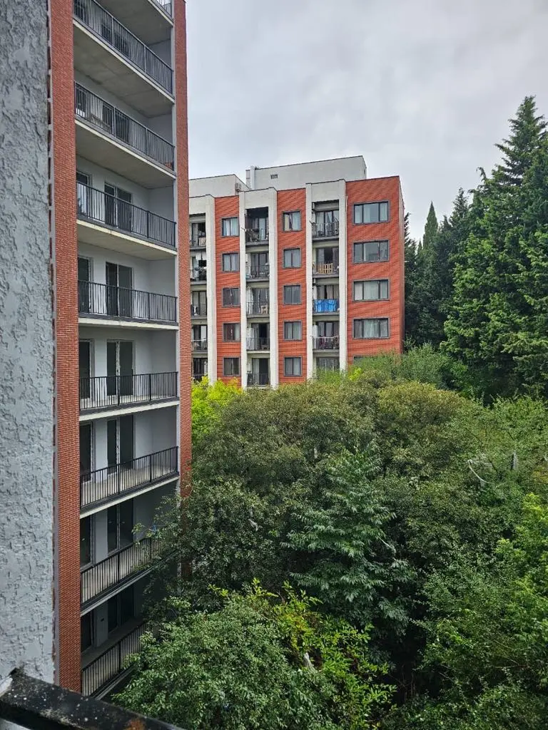 statment-img-0.8972820163063857