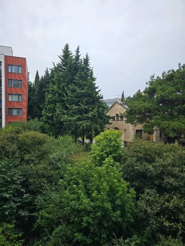 statment-img-0.715433846078257