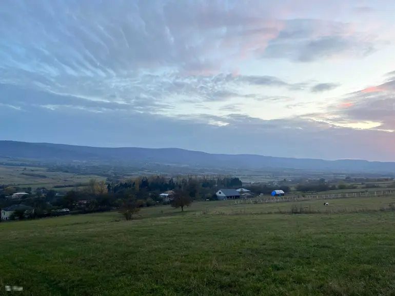 statment-img-0.20603256107489631