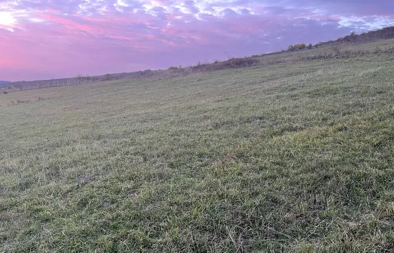 statment-img-0.11353921909919285