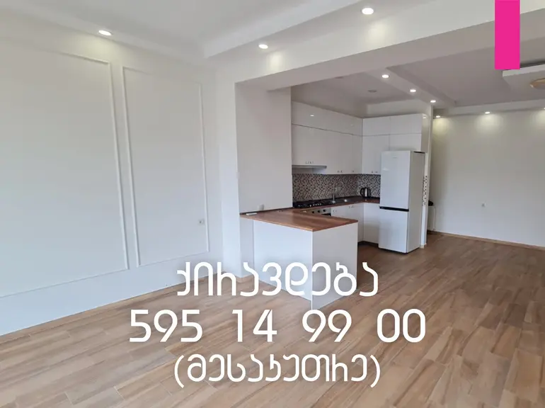 statment-img-0.16891230479815933