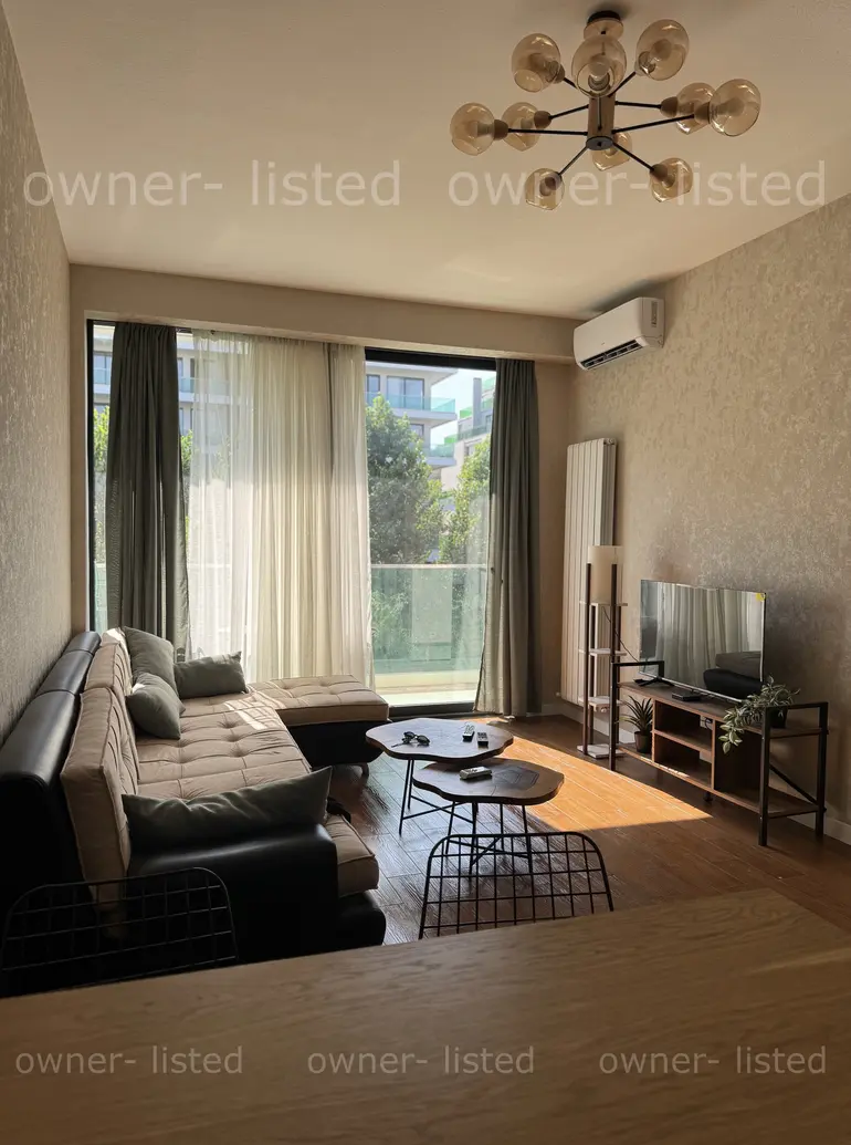 statment-img-0.23941596169050539