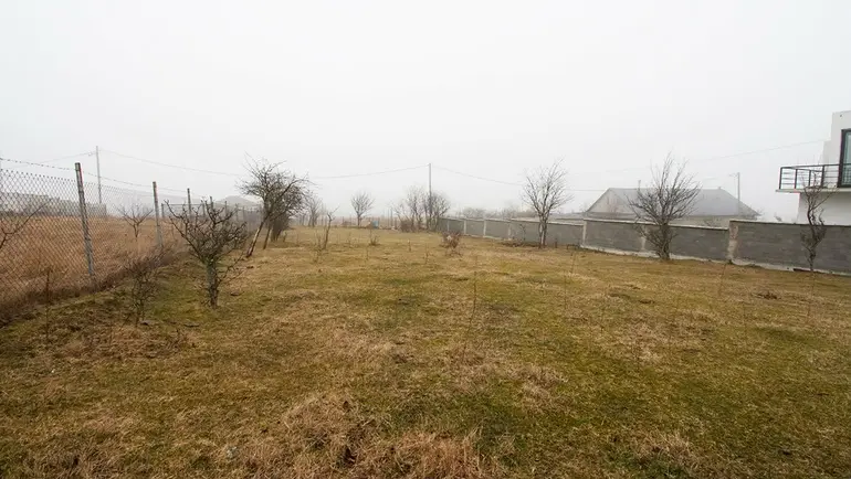 statment-img-0.5872526088364698