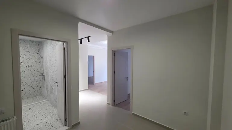 statment-img-0.04629981566355723