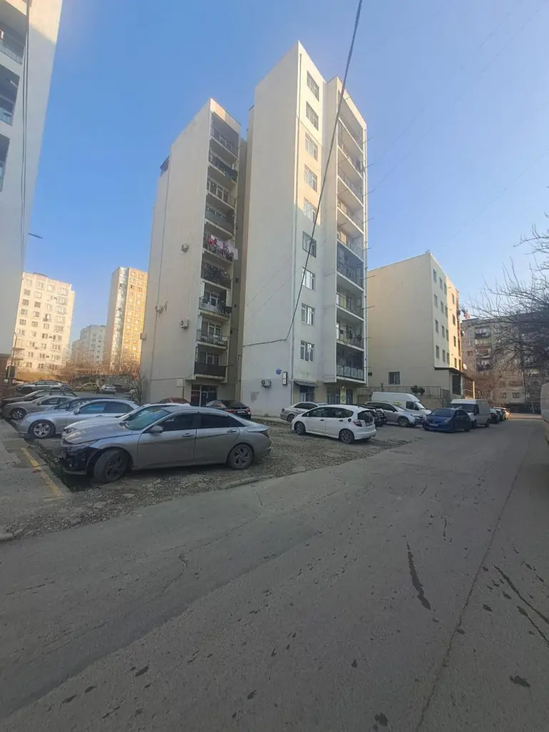 statment-img-0.3050077026651079