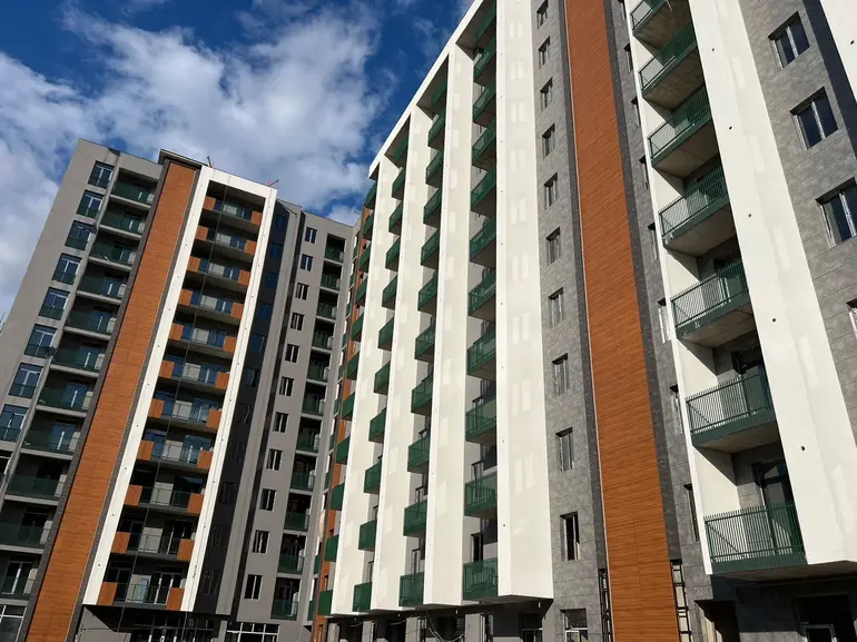 statment-img-0.29506350599206943