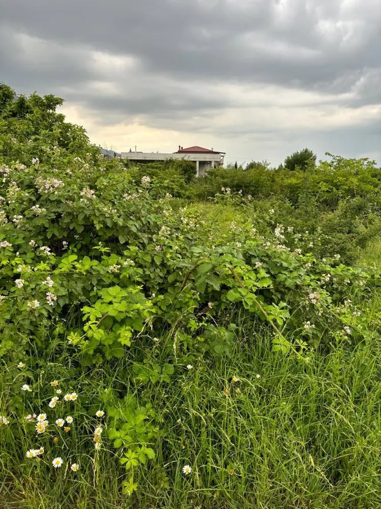 Agricultural plot for sale in mtskheta municipality